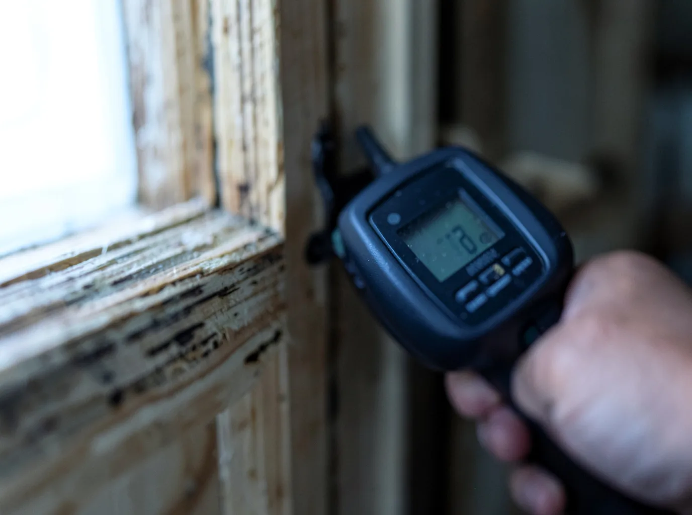Commercial Water Damage Restoration in Furman, SC
